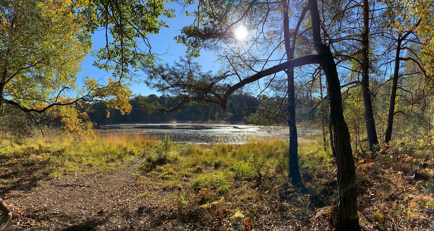 Photo n° 3 de l'avis de Michael.r fait le 16/11/2021 à 08:34