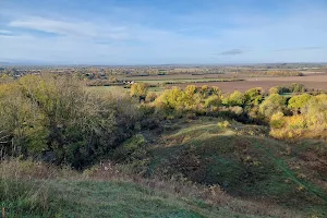 Totternhoe Nature Reserve image