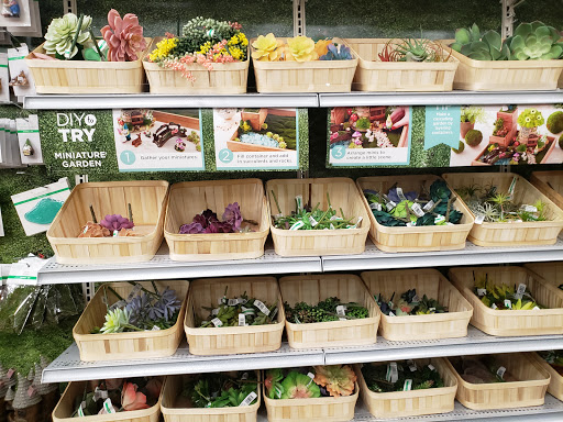 Craft Store «Michaels», reviews and photos, 222 Retail Commons Pkwy, Martinsburg, WV 25403, USA