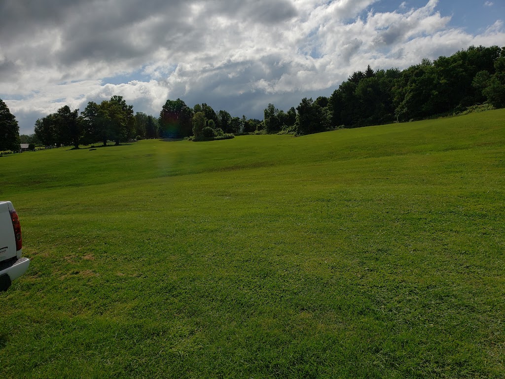 Saalty Dawg Saloon 13340