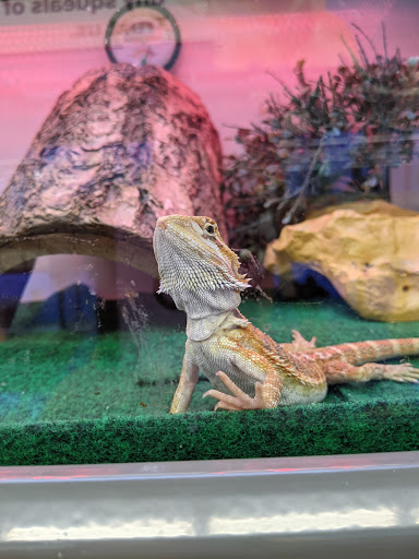 Pet Supply Store «Pet Supplies Plus», reviews and photos, 15880 San Carlos Blvd Ste 190, Fort Myers, FL 33908, USA