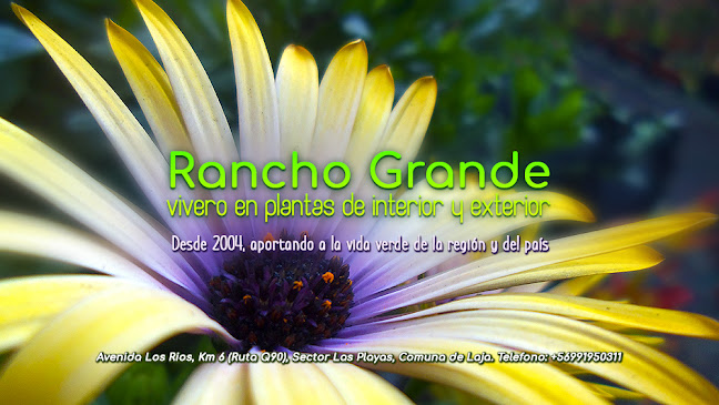 Vivero Rancho Grande - Plantas de interior y exterior