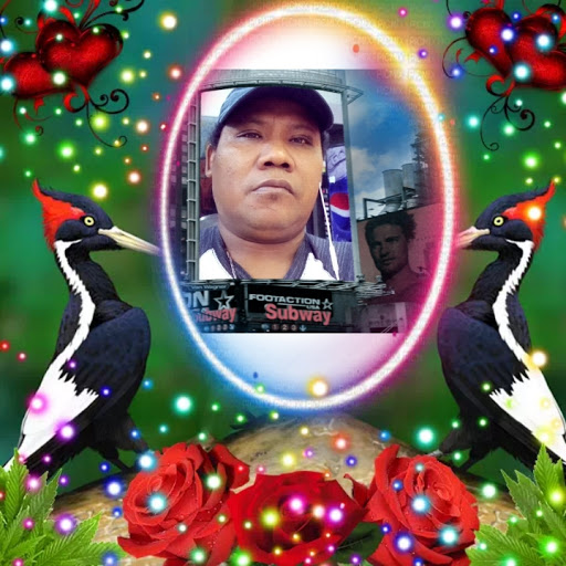 Tropical Fish Store «Inwood Aquarium», reviews and photos, 8244 Antoine