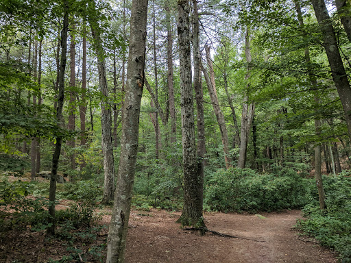 State Park «Wilson Mountain Reservation», reviews and photos, 384 Common St, Dedham, MA 02026, USA