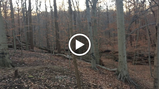 Movie Theater «Beltway Movies», reviews and photos, 7660 Belair Rd, Nottingham, MD 21236, USA