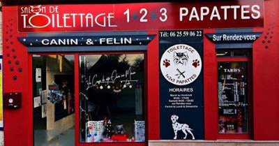 1.2.3 papattes à Saint-Cosme-en-Vairais