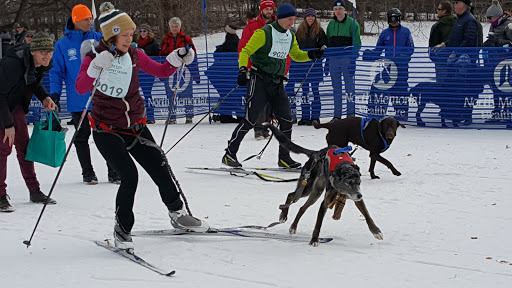 Golf Course «Theodore Wirth Golf Course», reviews and photos, 1301 Theodore Wirth Pkwy, Minneapolis, MN 55422, USA