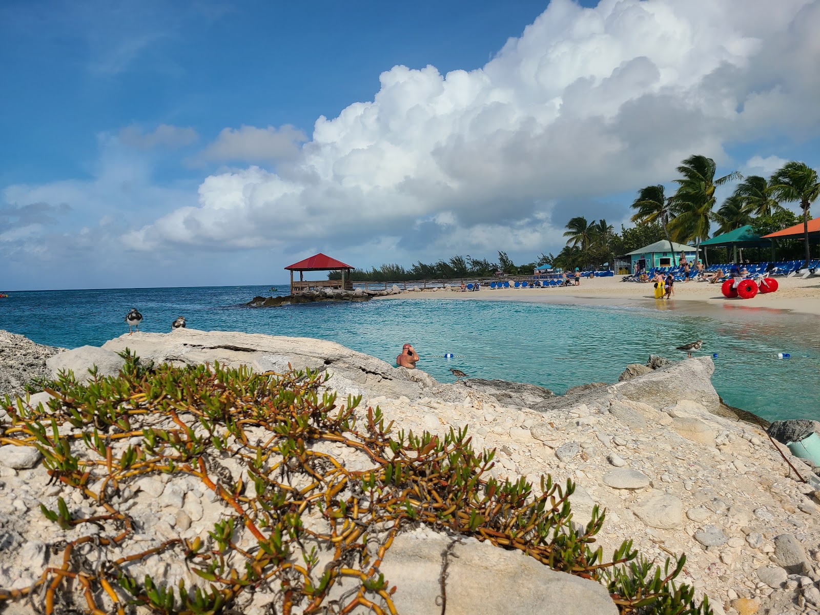 Princess Cays beach的照片 具有非常干净级别的清洁度
