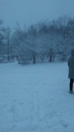 Dog Park «Forest Park Dog Run», reviews and photos, 8445 Park Ln S, Woodhaven, NY 11421, USA