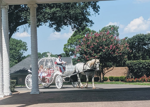 Country Club «Willow Brook Country Club», reviews and photos, 3205 W Erwin St, Tyler, TX 75702, USA