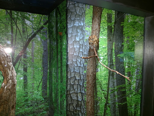 Aquarium «North Carolina Aquarium at Pine Knoll Shores», reviews and photos, 1 Roosevelt Blvd, Pine Knoll Shores, NC 28512, USA