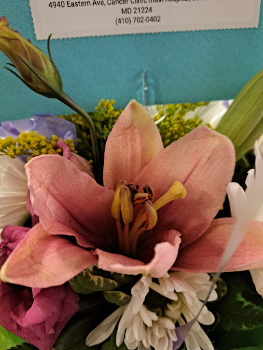 Florist «Flowers by Chris», reviews and photos, 1023 Cathedral St, Baltimore, MD 21201, USA
