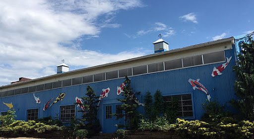 Florist «Columbia Florist & Nursery Inc», reviews and photos, 24377 Royalton Rd, Columbia Station, OH 44028, USA