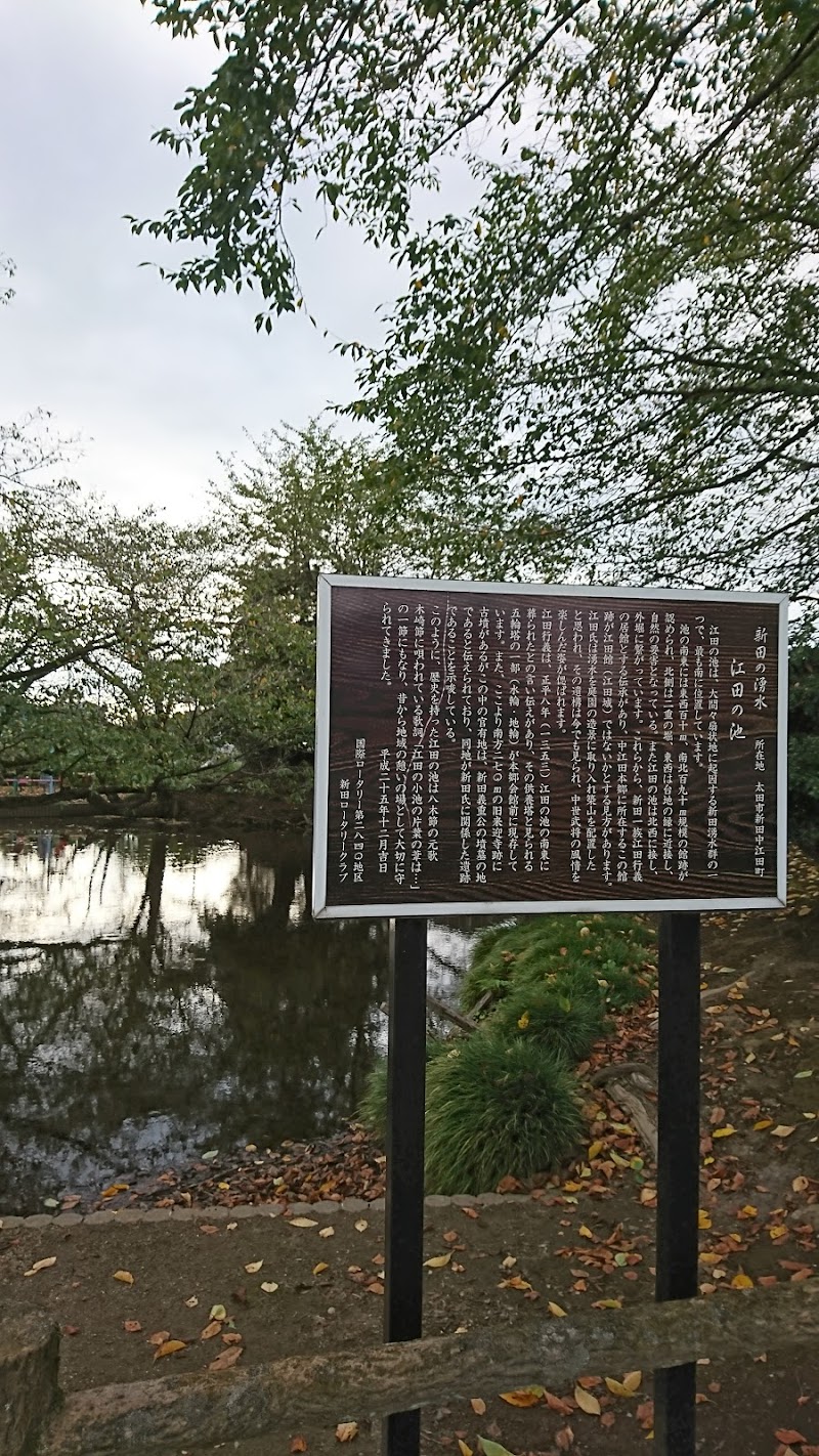 江田の池