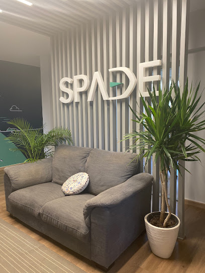 SPADE Consulting