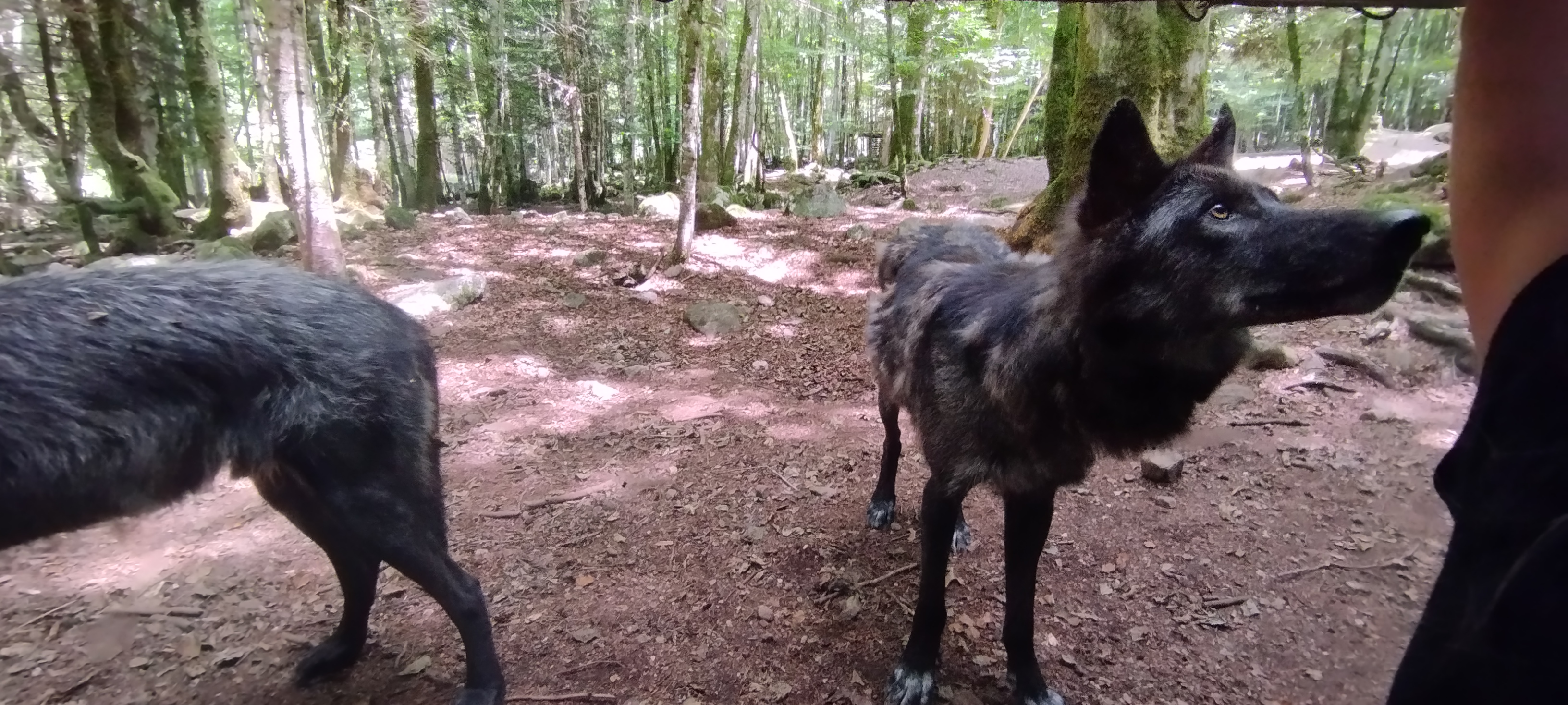 Photo n° 11 de l'avis de Fabrice.e fait le 19/08/2023 à 21:56