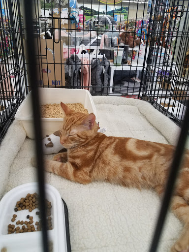 Pet Supply Store «Petco Animal Supplies», reviews and photos, 6761 Westminster Ave, Westminster, CA 92683, USA
