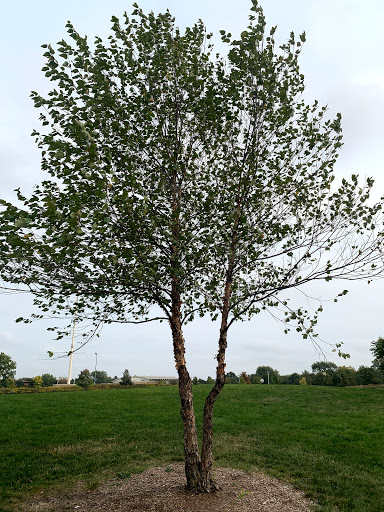 Park «Spring Lake Park», reviews and photos, 396 Springlake Ln, Aurora, IL 60504, USA