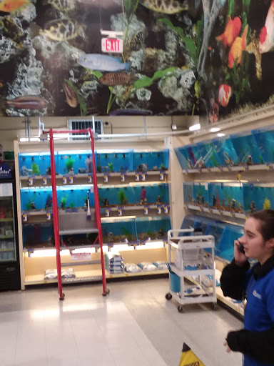 Pet Supply Store «PetSmart», reviews and photos, 406 Balltown Rd, Schenectady, NY 12304, USA