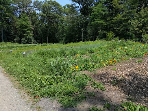 Farm «Green Meadows Farm», reviews and photos, 656 Asbury St, South Hamilton, MA 01982, USA