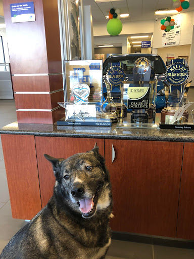 Subaru Dealer «Dunning Subaru», reviews and photos, 3771 Jackson Rd, Ann Arbor, MI 48103, USA