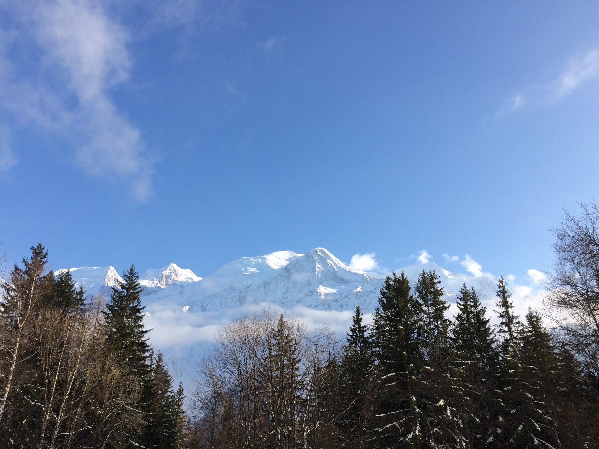 Photo n° 1 de l'avis de Godefroy.e fait le 09/02/2018 à 08:35