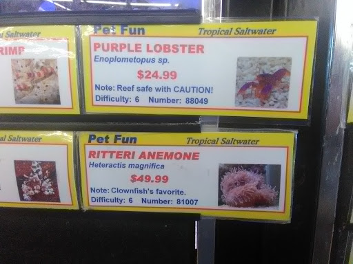 Pet Supply Store «Pet Fun At Harden Ranch Plz», reviews and photos, 1780 N Main St, Salinas, CA 93906, USA