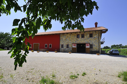 Terre Petrussa az. Agricola Biologica Via Fornalis, 50, 33043 Cividale del Friuli UD, Italia