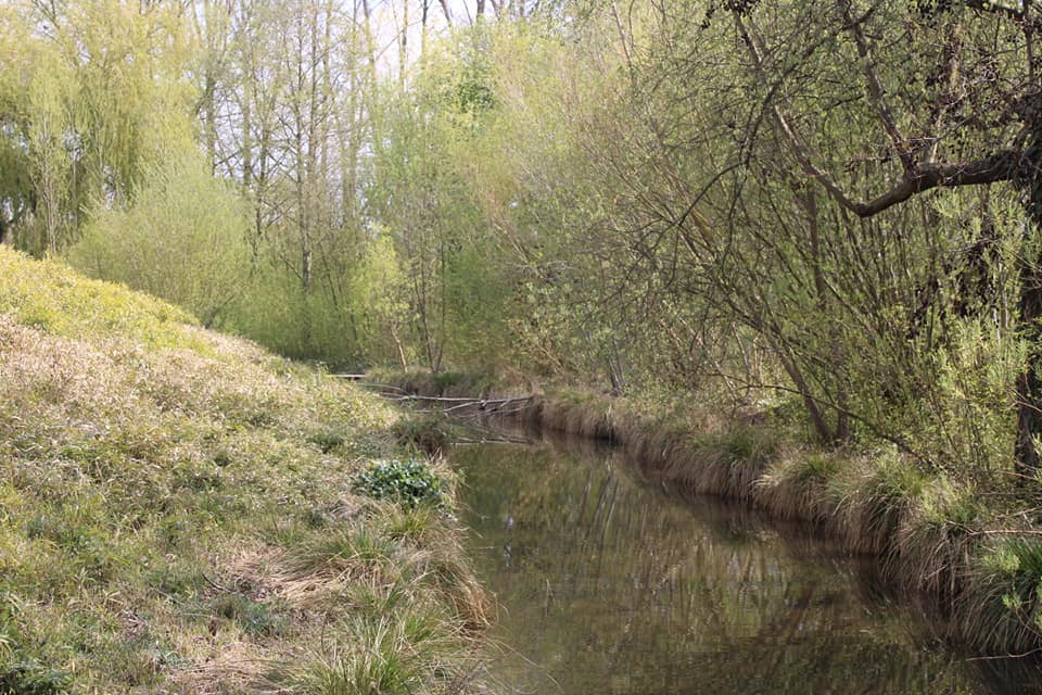 Photo n° 16 de l'avis de Eugenie. fait le 03/05/2023 à 08:39