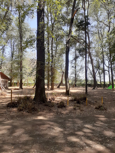 Parque Campo Escuela Callejones - Camping