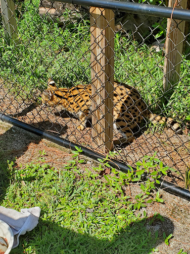 Tourist Attraction «Panther Ridge Conservation Center», reviews and photos, 14755 Palm Beach Point Blvd, Wellington, FL 33414, USA