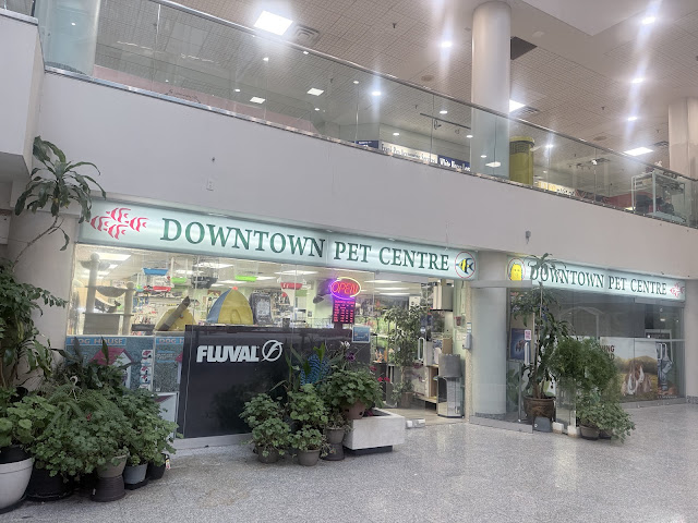 Downtown Pets & Aquarium