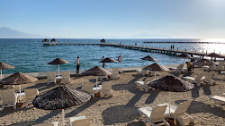Fantasia Hotel De Luxe Kuşadası Plaji'in fotoğrafı otel alanı