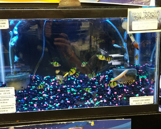 Pet Store «Petland Discounts - LI City», reviews and photos, 34-60 48th Ave, Queens, NY 11101, USA