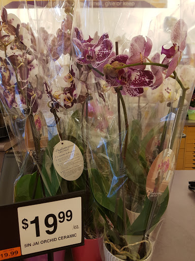 Grocery Store «Giant Food», reviews and photos, 10400 Old Georgetown Rd, Bethesda, MD 20814, USA