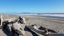 Otaki Beach'in fotoğrafı - rahatlamayı sevenler arasında popüler bir yer
