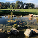 Photo n° 1 de l'avis de Amandine.r fait le 31/10/2017 à 16:48 pour BRUNET MANQUAT Paysage à Tencin