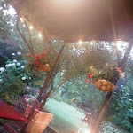 Photo n°4 de l'avis de Fernanda.i fait le 02/08/2023 à 10:21 sur le  Cascina del Lupo à Busto Arsizio