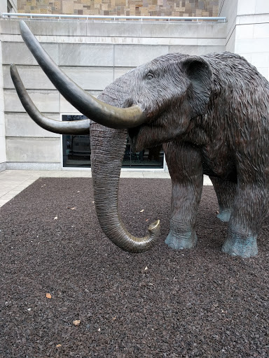 Imax Theater «IMAX Theatre», reviews and photos, 650 W Washington St, Indianapolis, IN 46204, USA