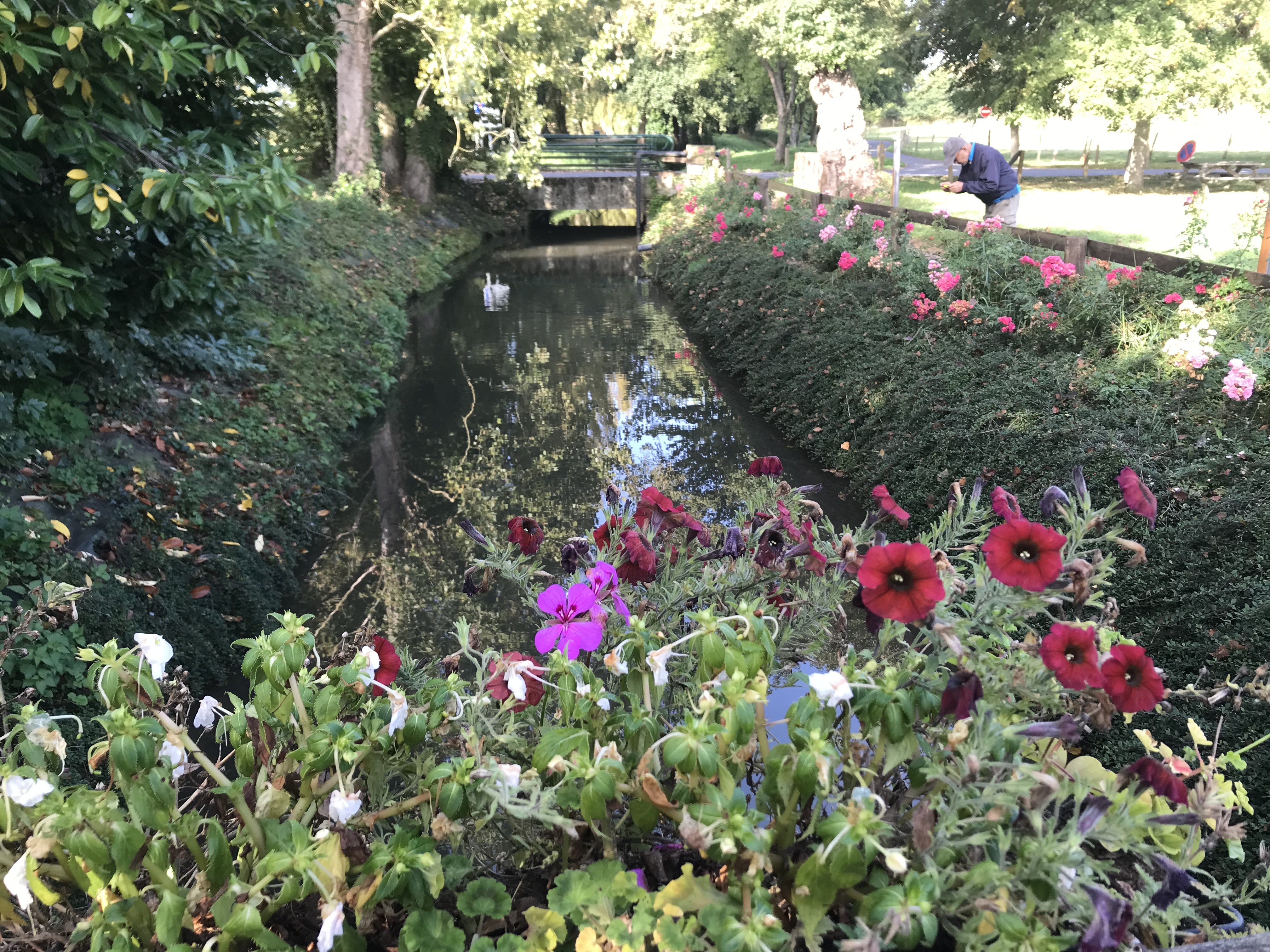 Photo n° 4 de l'avis de atsushi.a fait le 07/10/2023 à 17:06