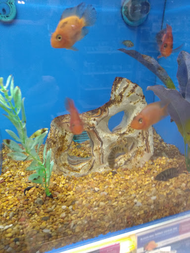 Pet Supply Store «PetSmart», reviews and photos, 901 Old York Rd, Jenkintown, PA 19046, USA