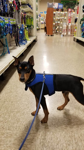 Pet Supply Store «PetSmart», reviews and photos, 4151 Turtle Creek Dr, Coral Springs, FL 33067, USA