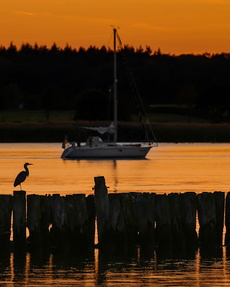 Photos des visiteurs Ferienwohnung Ferienwohnung auf Usedom, Ferienidyll, Fam. Birkigt 17449 Karlshagen