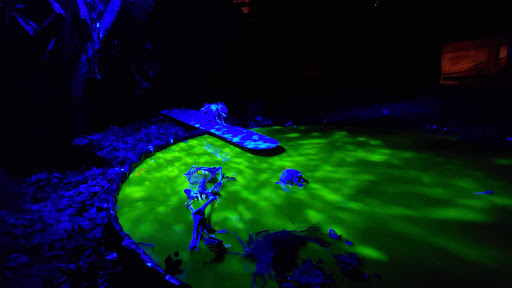 Auditorium «Stinson Beach Community Center», reviews and photos, 32 Belvedere Ave, Stinson Beach, CA 94970, USA