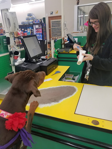 Pet Supply Store «Pet Supplies Plus», reviews and photos, 2155 Delaware Ave, Buffalo, NY 14216, USA