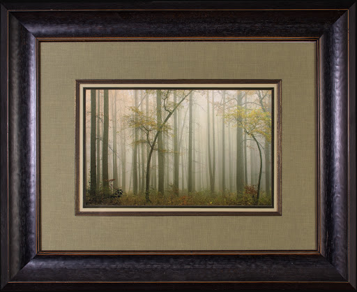 Art Supply Store «Phoenix Art Supplies & Framing», reviews and photos, 1810 S Easton Rd, Doylestown, PA 18901, USA