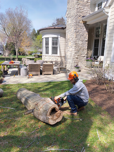 Tree Service «Polgar Tree Service & Removal LLC», reviews and photos