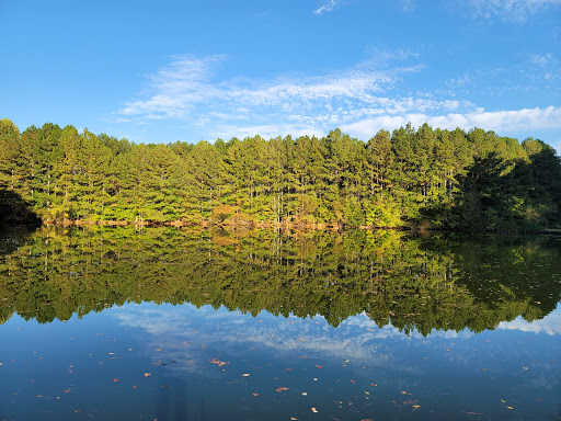 Golf Course «Atlanta National Golf Club», reviews and photos, 350 Tournament Players Dr, Alpharetta, GA 30004, USA