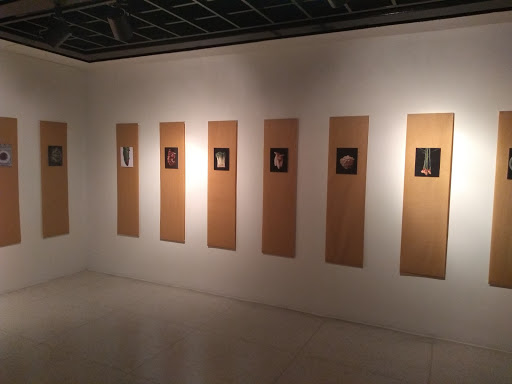 Museo de Arte Contemporáneo