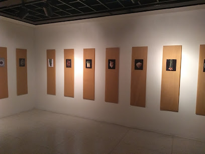 Museo de Arte Contemporáneo de Caracas Armando Reveron photo